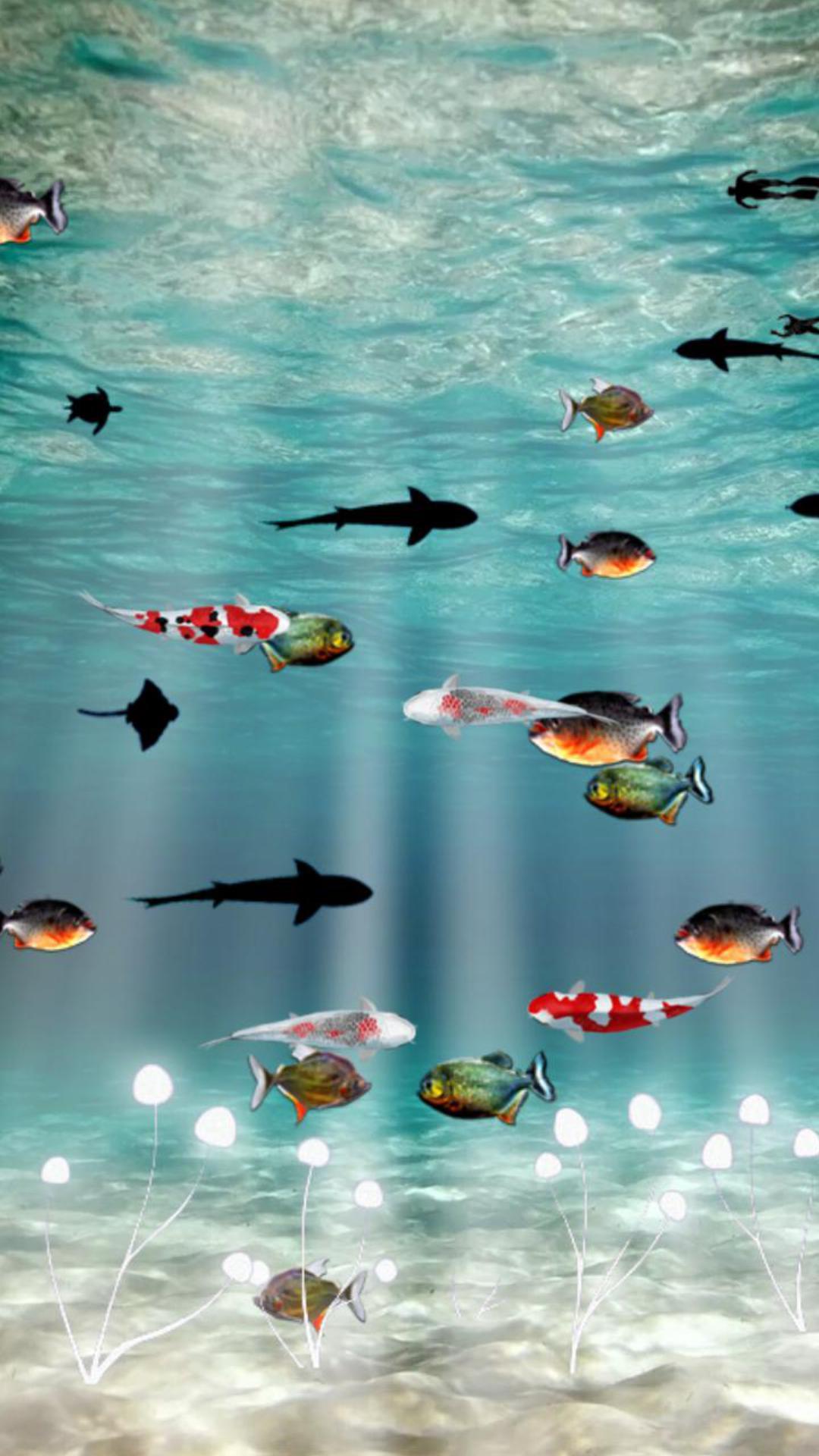 海底世界主题动态壁纸官网免费下载_海底世界