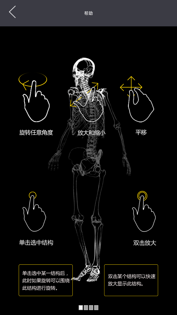 3dbody系统解剖