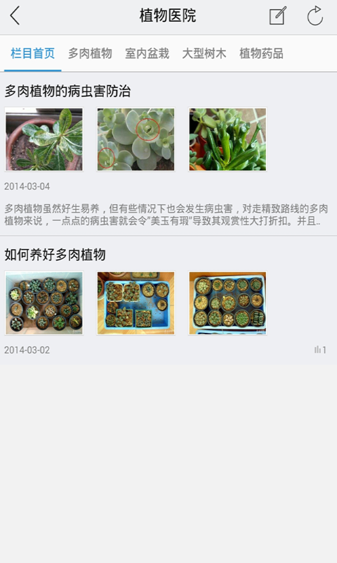 乐植截图4