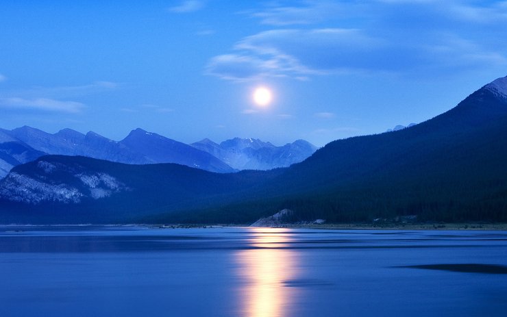 安卓月夜 夜晚 月亮 晚上 天黑了 夜景手機壁紙