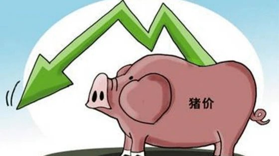 三四月猪价或跌至每斤6元谷底（农业农村部）